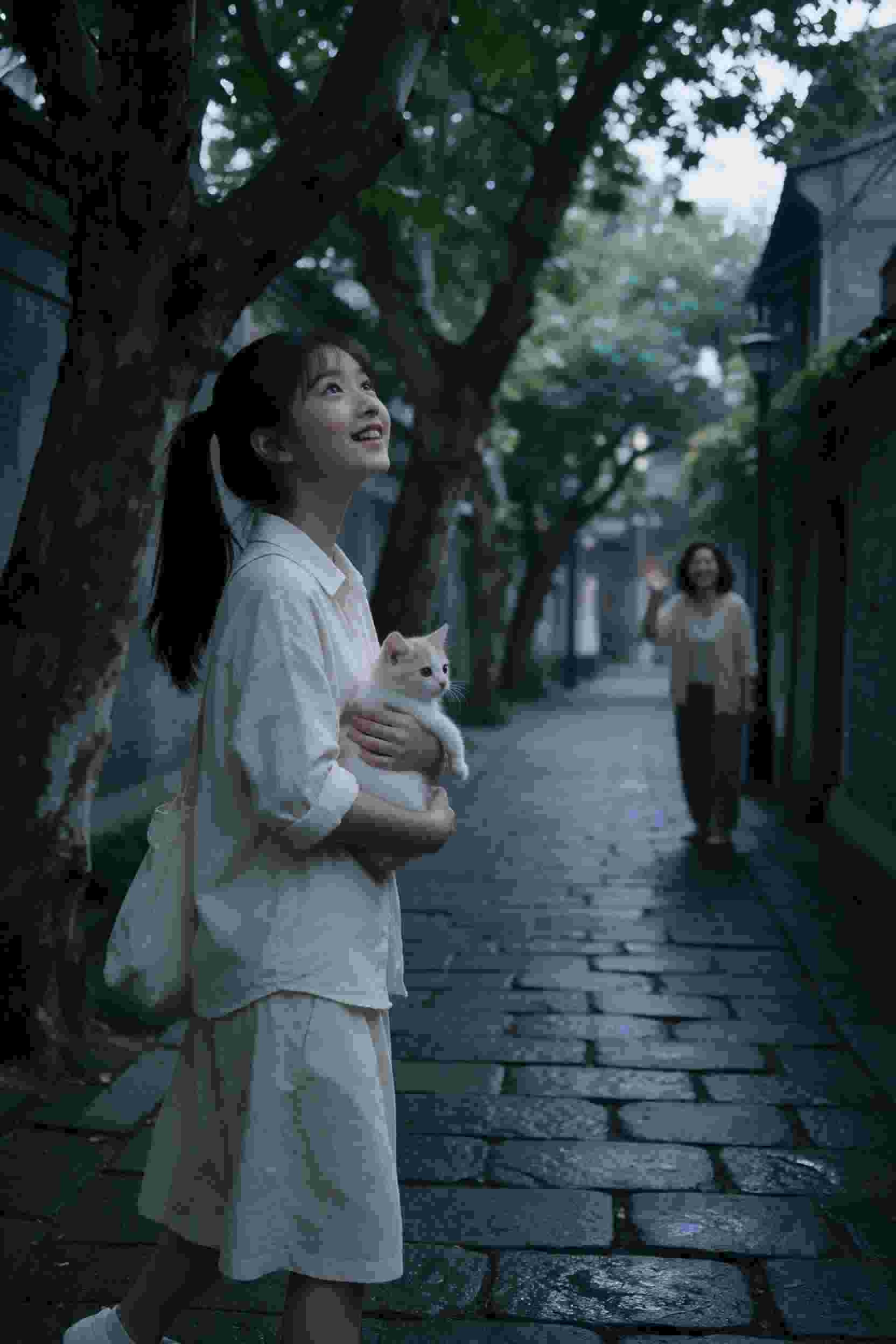 热门剧集